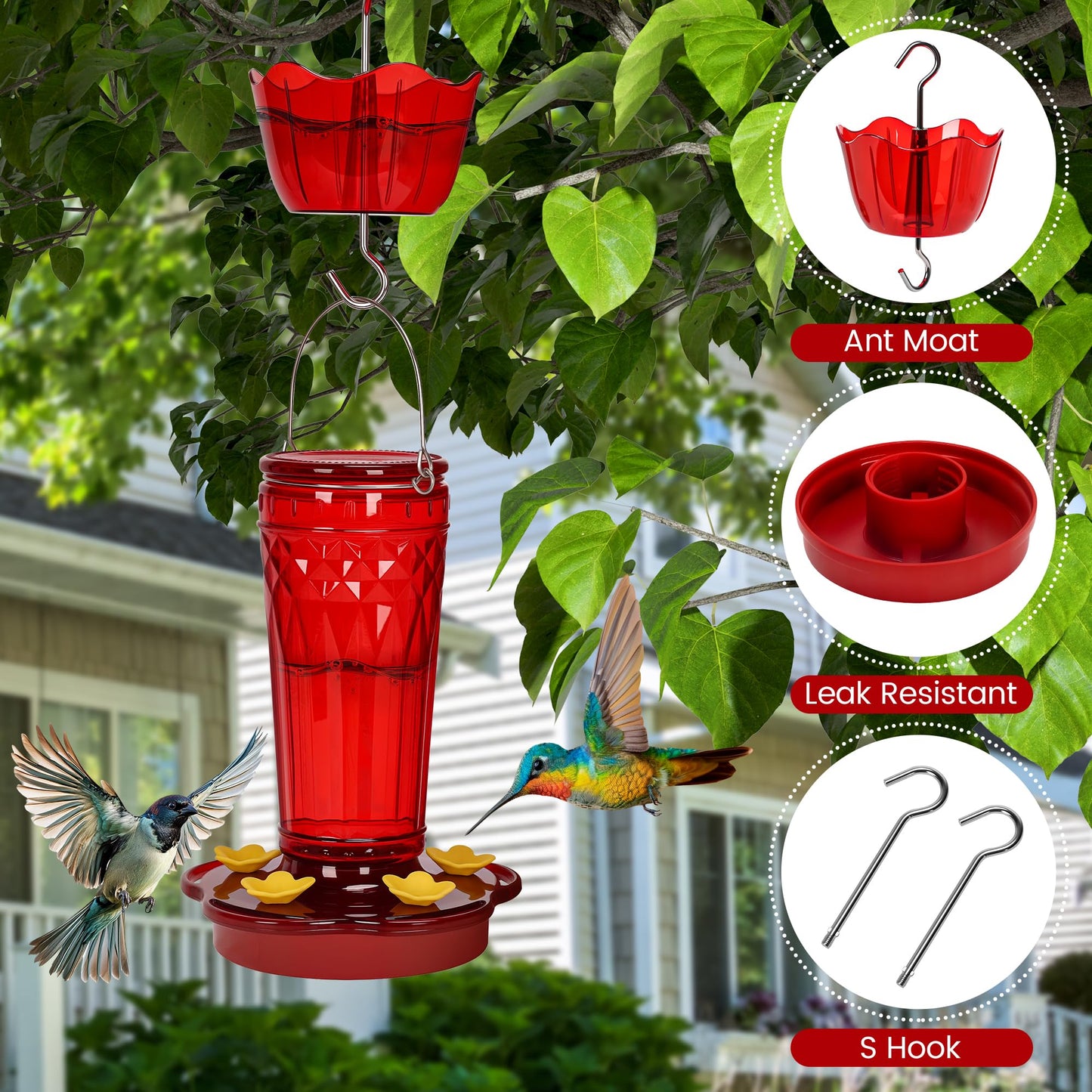 Glass Hummingbird feeders