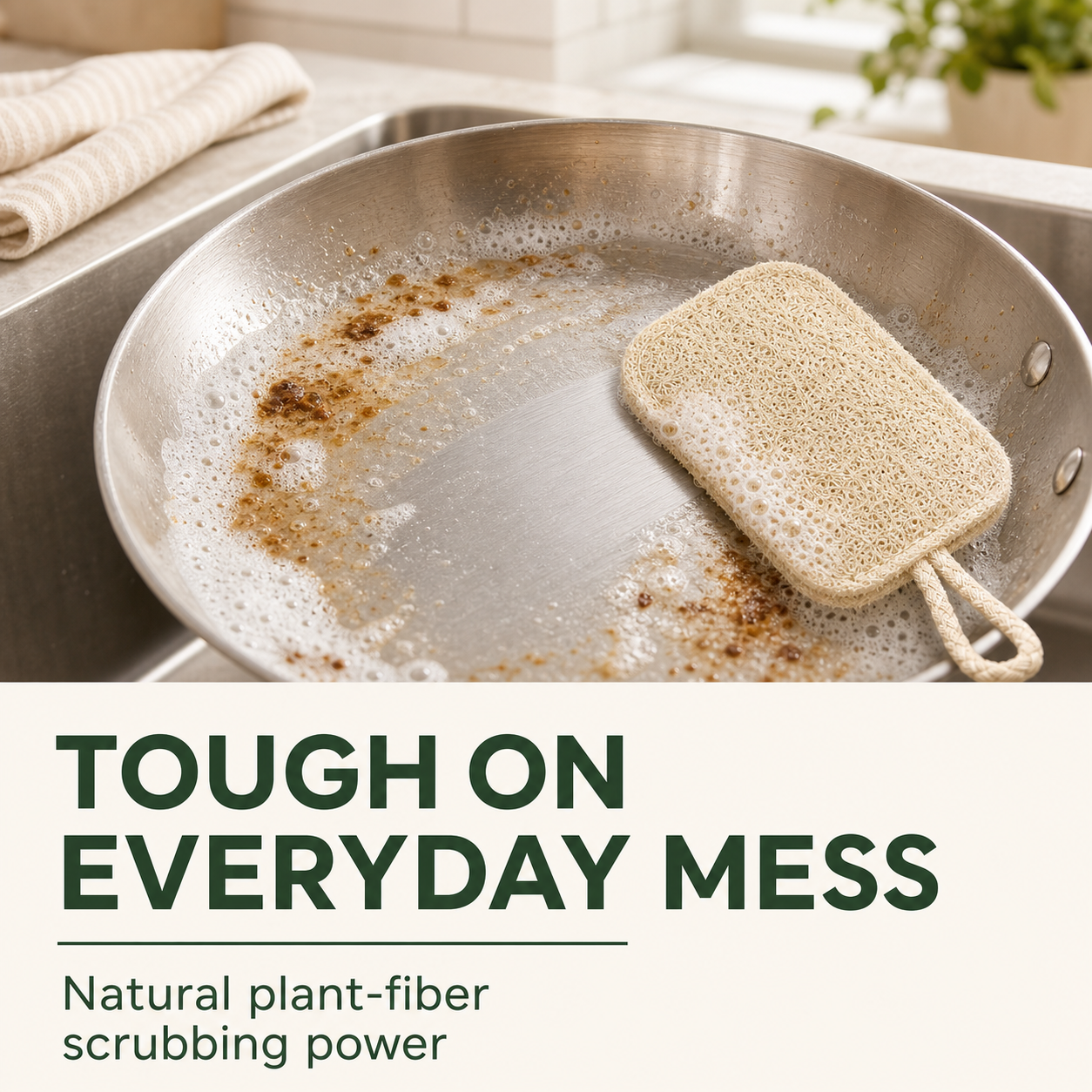Natural Loofah Dish Scrubber