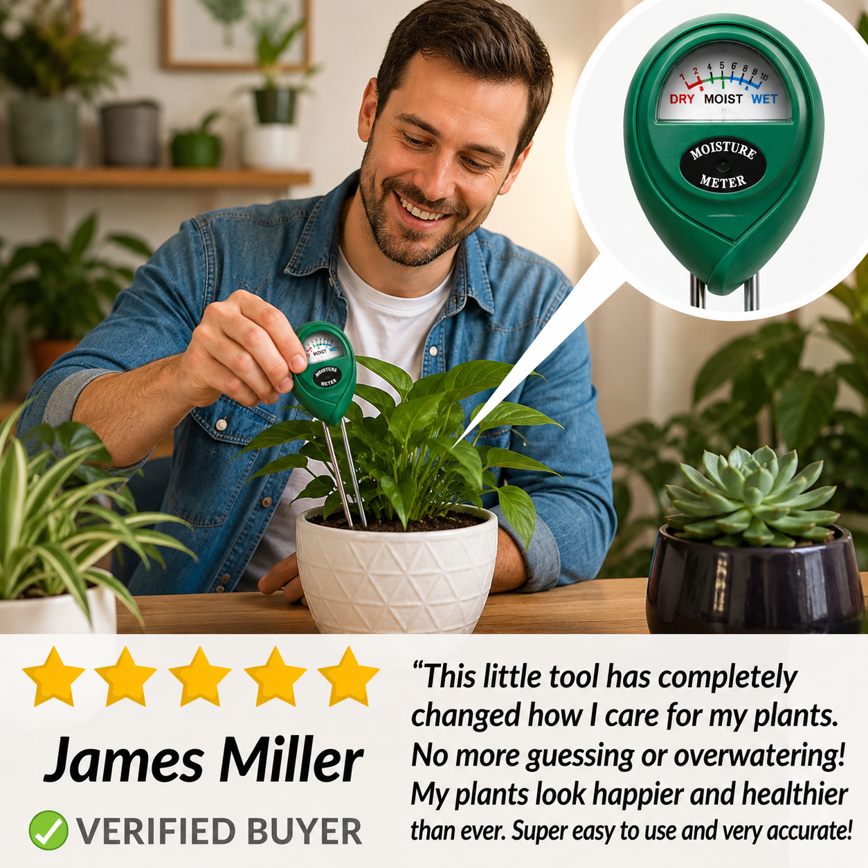 Customer Review