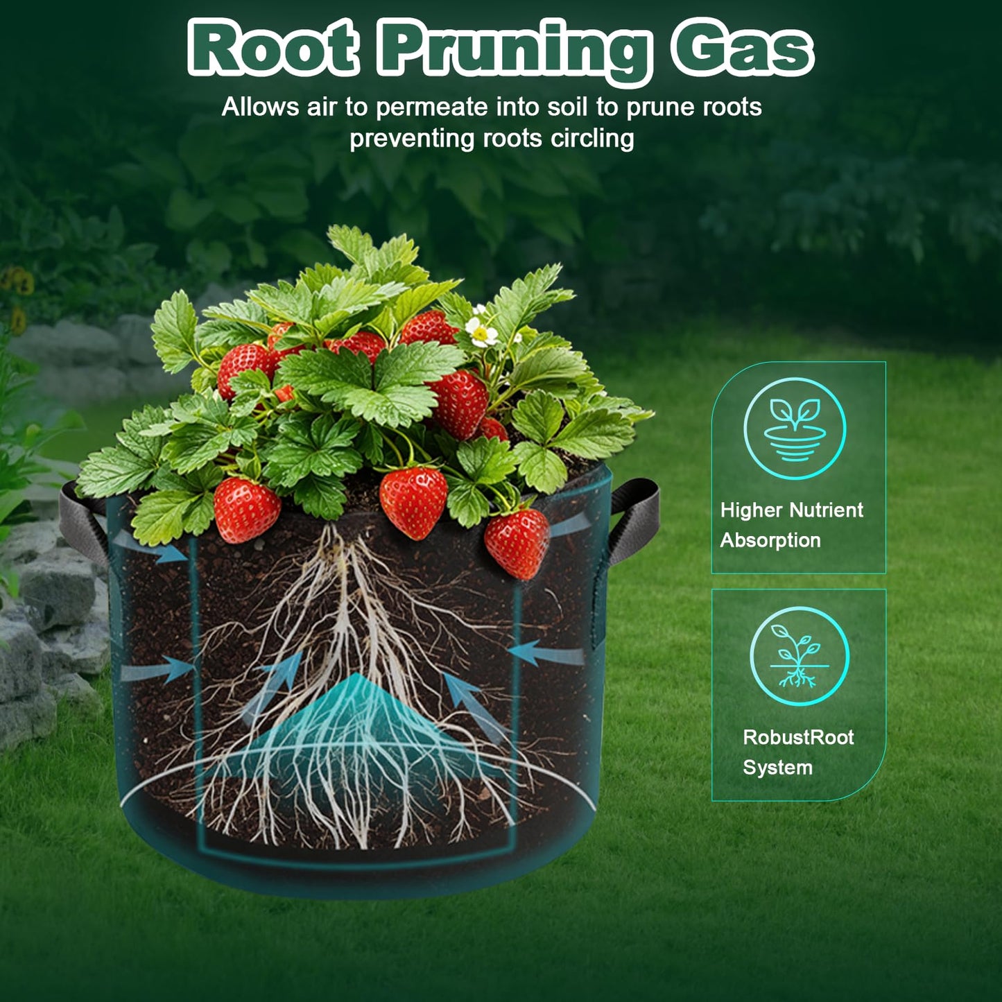 5 Gallon Grow Bags