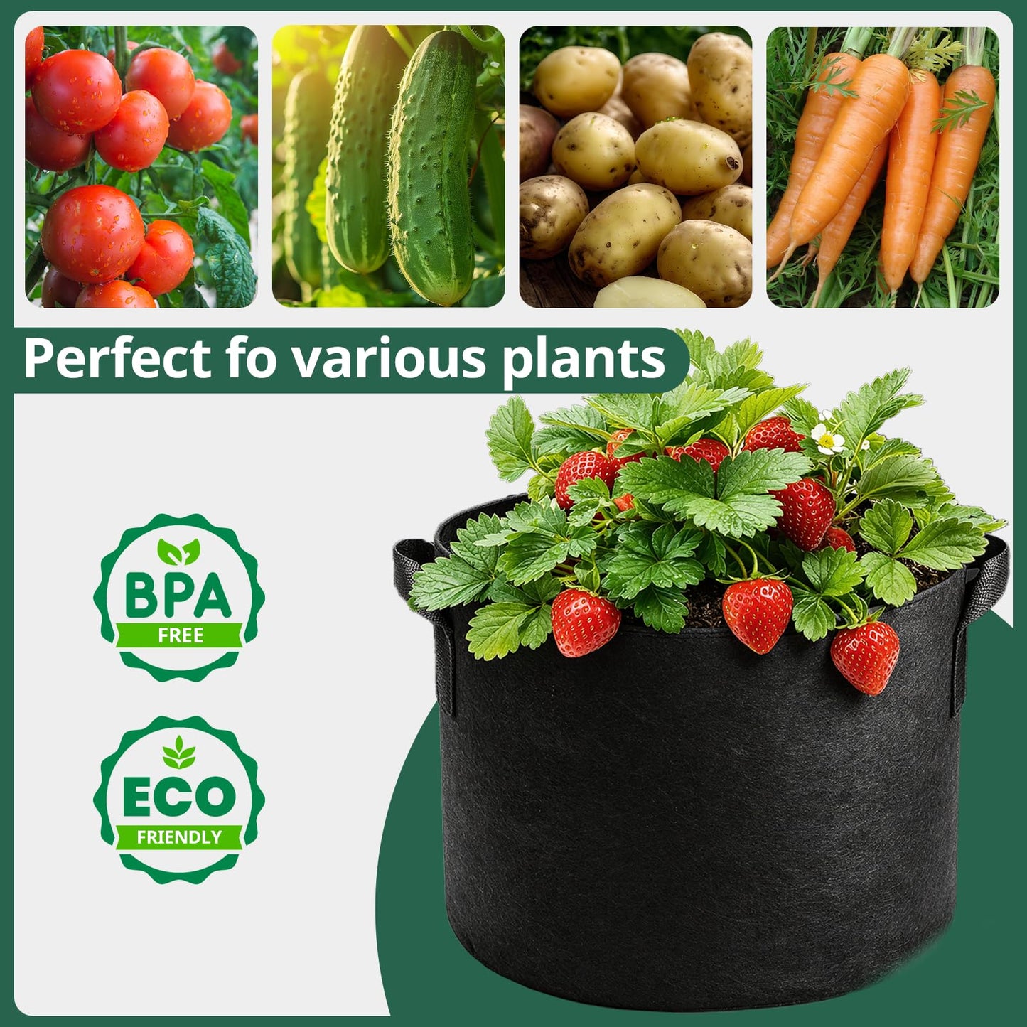 5 Gallon Grow Bags
