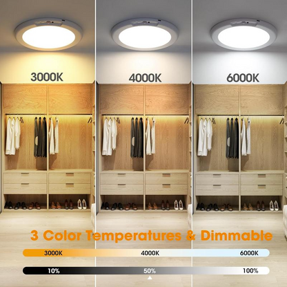 Motion Sensor Ceiling Light