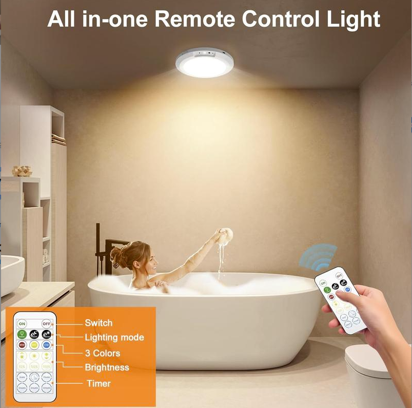 Motion Sensor Ceiling Light