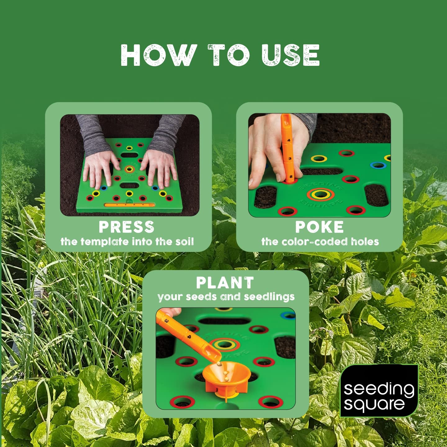 Seeding Square