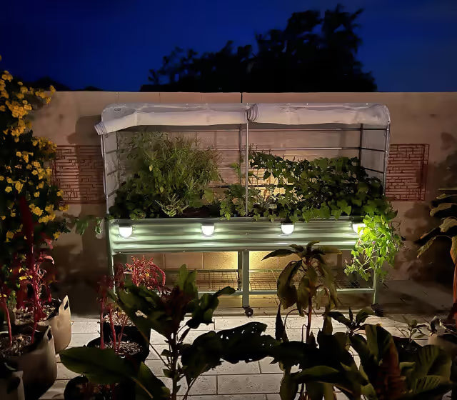 Best greenhouse for vego-gardeners!