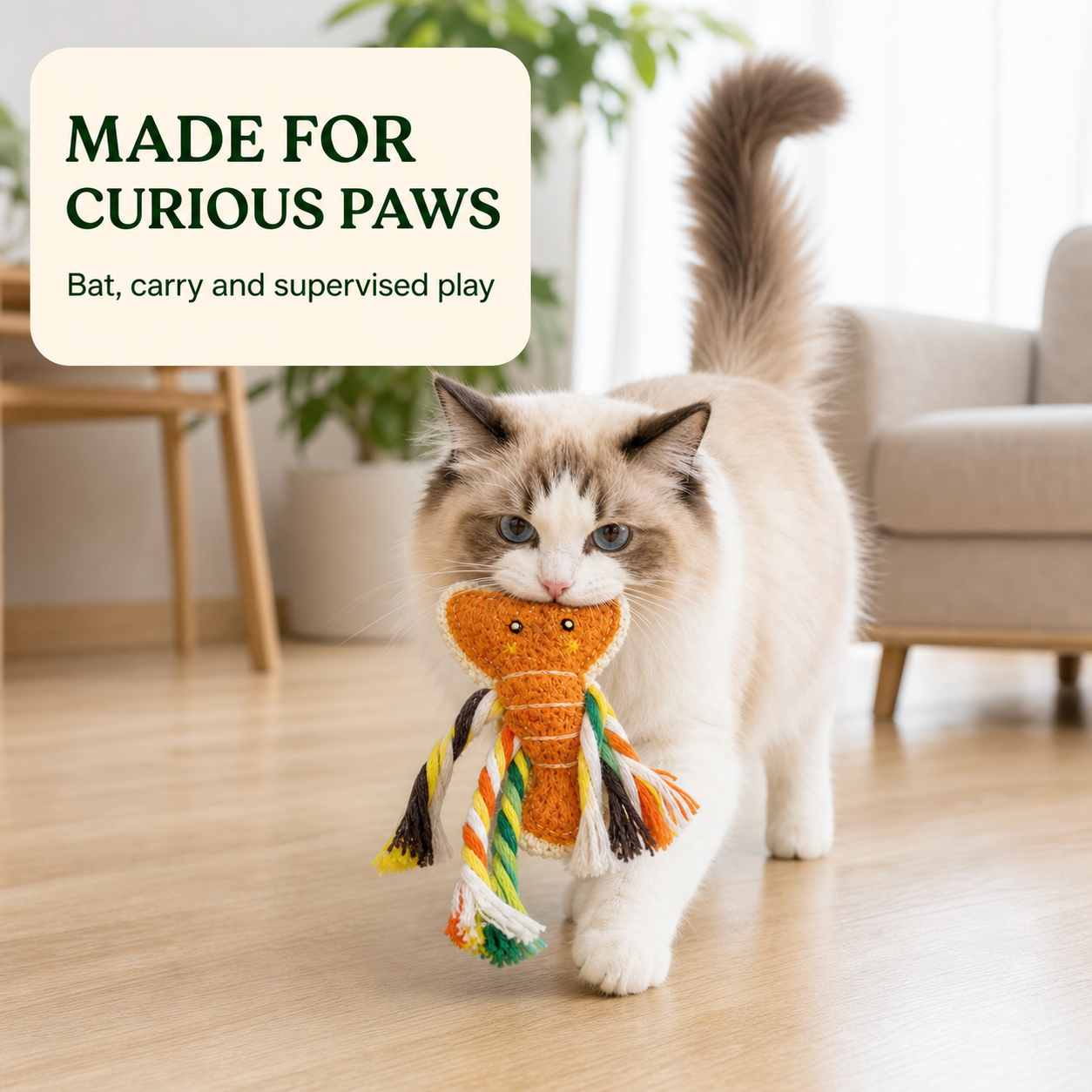 Cat playing with a loofah catnip chew toy
