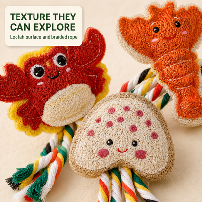 Close-up of loofah cat toy texture and braided rope