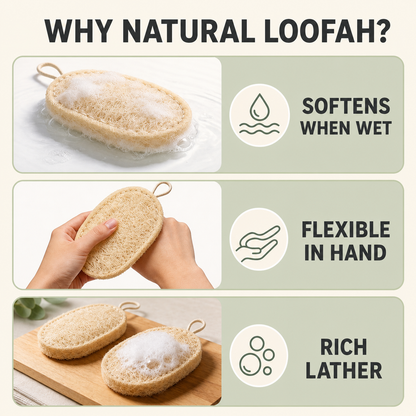 Natural loofah scrubber benefits including softening when wet, flexibility and rich lather